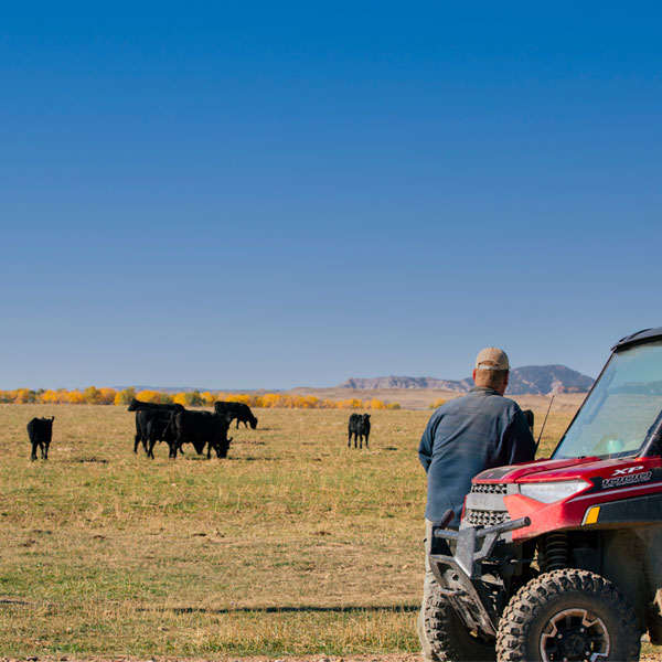 The Montana dream made possible.